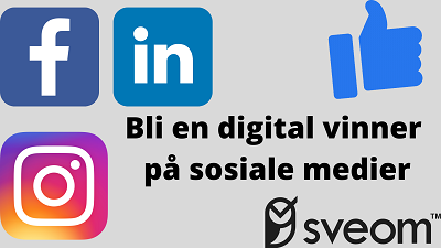 Digital markedsføring, automatisering, hjemmeside, nettbutikk, seo, søkemotoroptimalisering